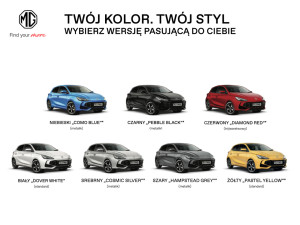 Miniaturka zdjęcia