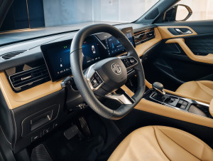 Miniaturka zdjęcia